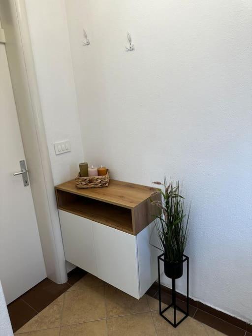Beautiful Fully Renovated Apartment By The Sea, Large Balcony With Enchanting Views ネウム エクステリア 写真